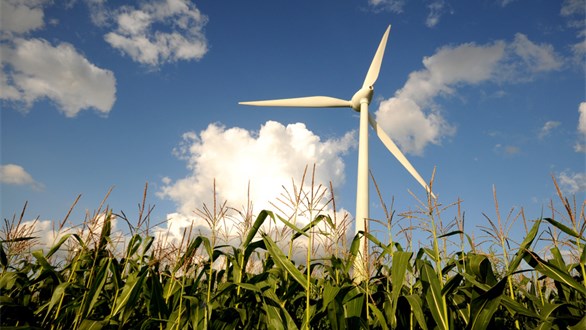 Bild zu Innovation und Umwelt